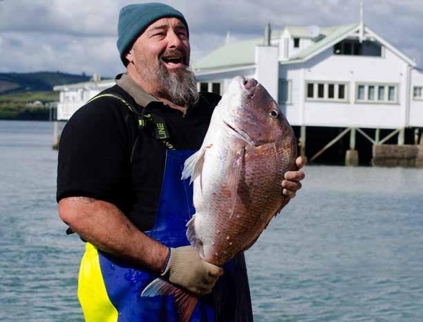 5 Guide to Using this Report The Report is designed to enable readers to rapidly access key insights and lessons from the New Zealand fisheries management experience as well as to present a much