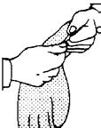 USE THE OTHER HAND TO SQUEEZE THE PALM, FINGERS, AND THUMB IN LOOKING FOR WEAKNESSES AND DEFECTS. 4. FOLD THE GLOVE TO THE FACE TO DETECT AIR LEAKAGE OR HOLD IT TO THE EAR AND LISTEN FOR ESCAPING AIR.
