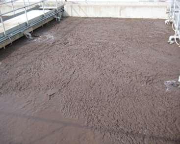 Before: Clarifier covered by