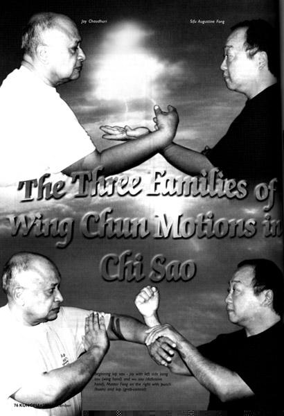 The Three Families of Wing Chun Motions in Chi Sao Augustine Fong and Joy Chaudhuri (Copyright.