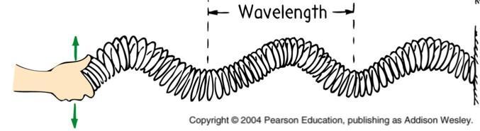 Transverse: Types of Waves Displacement is perpendicular to the direction of wave
