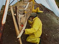 Pien starts to attach planks to the bottom of the canoe.
