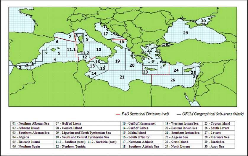 The obligation to land all catches - consequences for the Mediterranean 1.