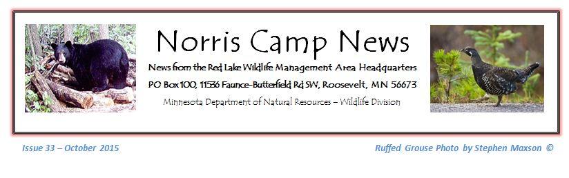 Plan on meeting at Norris Camp at 10 am and bring along a butterfly net if you have one and something for lunch.
