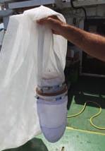Series from ichthyoplankton sampling on board the Marviva Med vessel