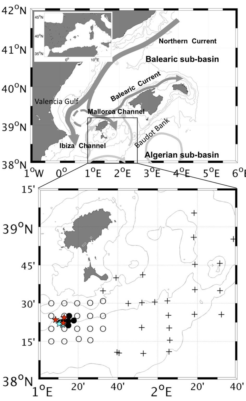 Viability of bluefin tuna spawning in offshore cages 587 by their mesoscale hydrographic features (Alemany et al. 2010, Reglero et al. 2012).