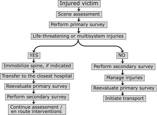 Crush Recommendations: Short Field Version 5 Fig. 2. Overview of prehospital care at the disaster field. *Secondary survey is a detailed evaluation of the trauma patient.