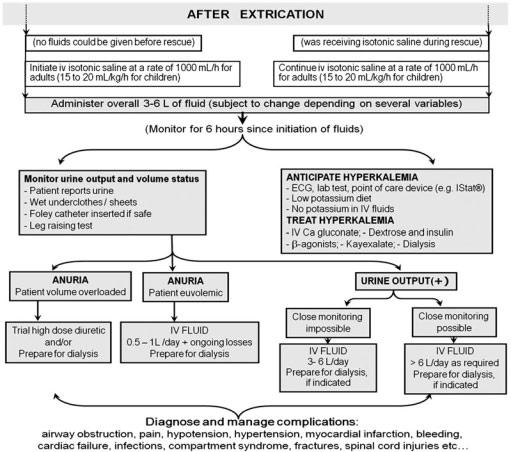 6 Crush Recommendations: Short Field Version Fig. 3. Algorithm for specific approach to crush victims after extrication. - Monitor hydration status by clinical examination.