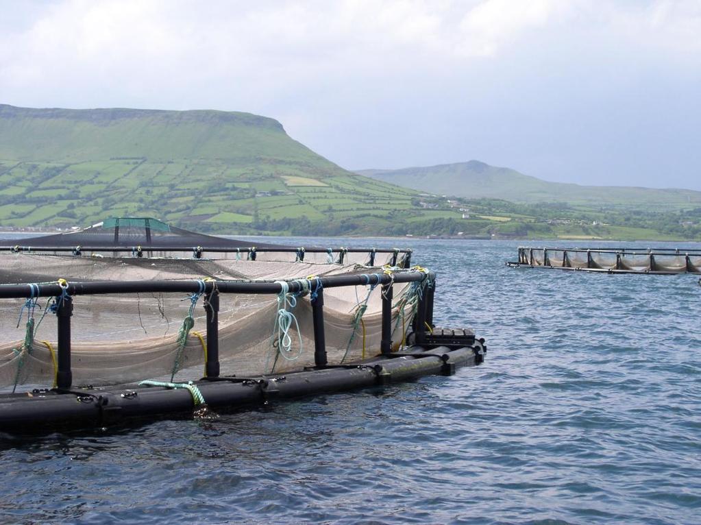 Draft Focus Area Report on Aquaculture, Introductions and