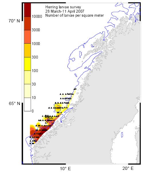 The index was therefore an underestimate of the larval abundance along the coast. The index, however, was still high (93.8*10 12 ) and the second highest in the time-series.