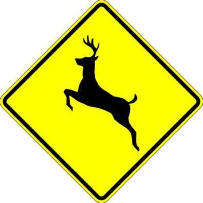 Figure 8 Figure 9 Deer Vehicle Accidents The best way to avoid deer collisions with your vehicle is to be watchful not only for deer crossing the road but also for the driver in front of