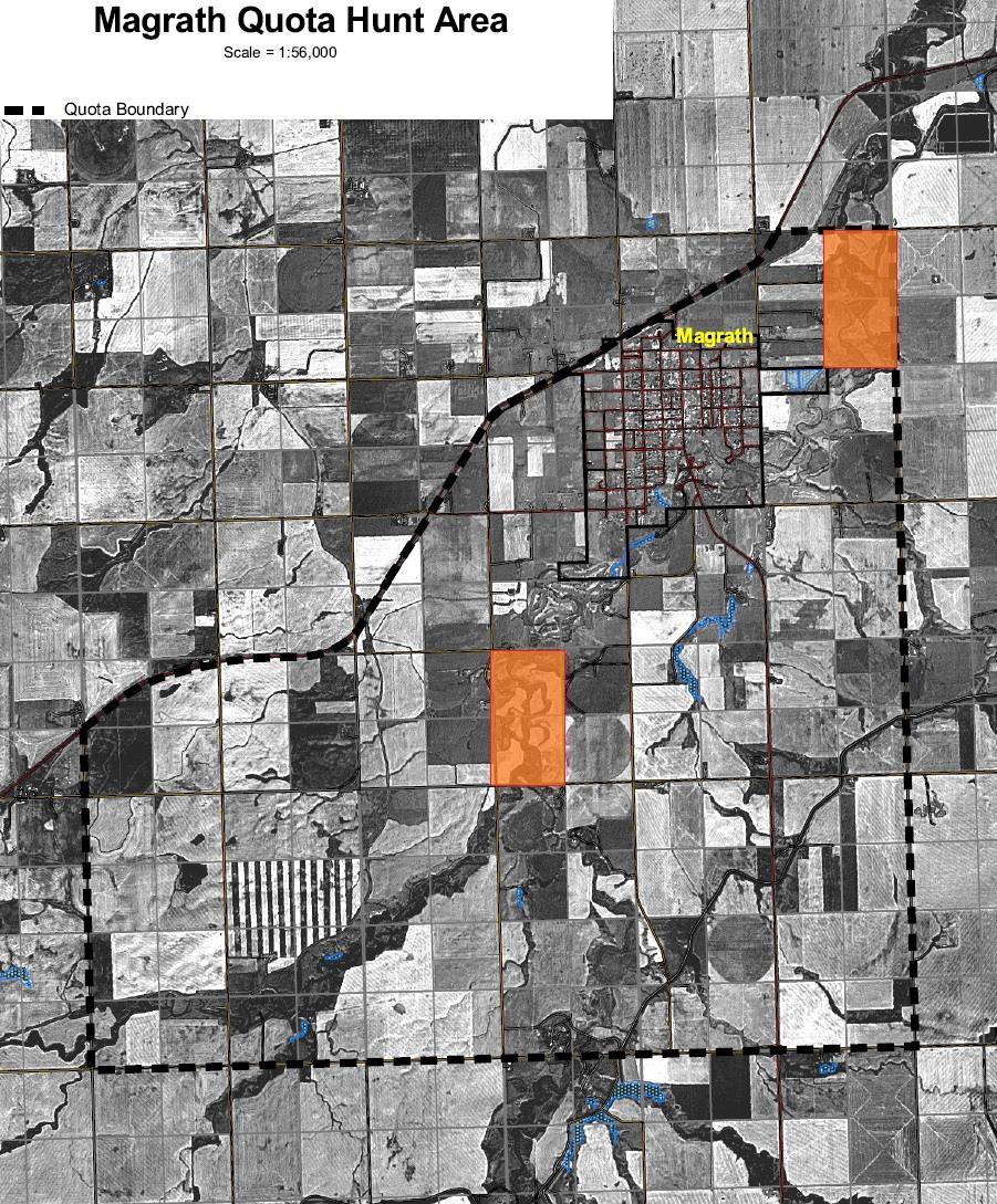8 Figure 2 - Magrath quota hunt area, orange areas highlight high density
