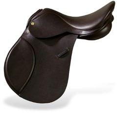 1650 GP Seat depth Continental Apex Open front area This saddle was designed after much demand from our retailers who were familiar with the fit of our Suzannah Dressage saddle.