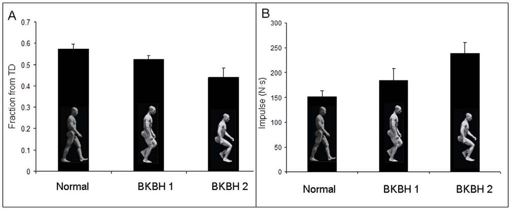 Figure 3. Center of pressure (COP) position and ground reaction force impulse in humans walking with different limb postures. A) COP movement during bipedal walking.