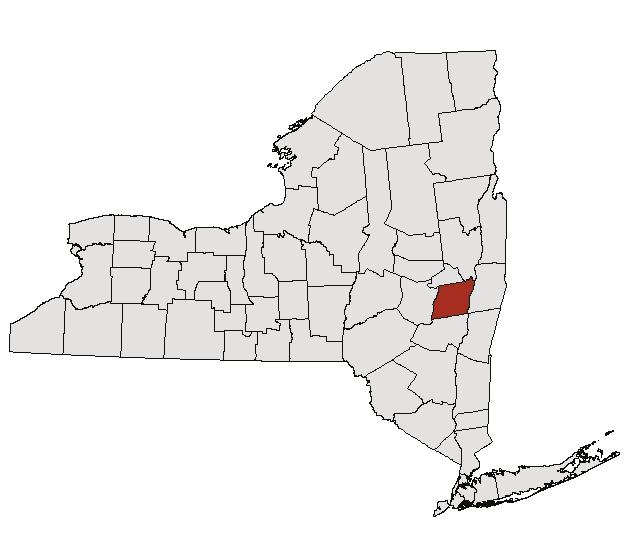 Albany County, NY Prepared by ihi November 2006 The population of Albany County is approximately 297,414. The county is located almost in the geographic center of the state.