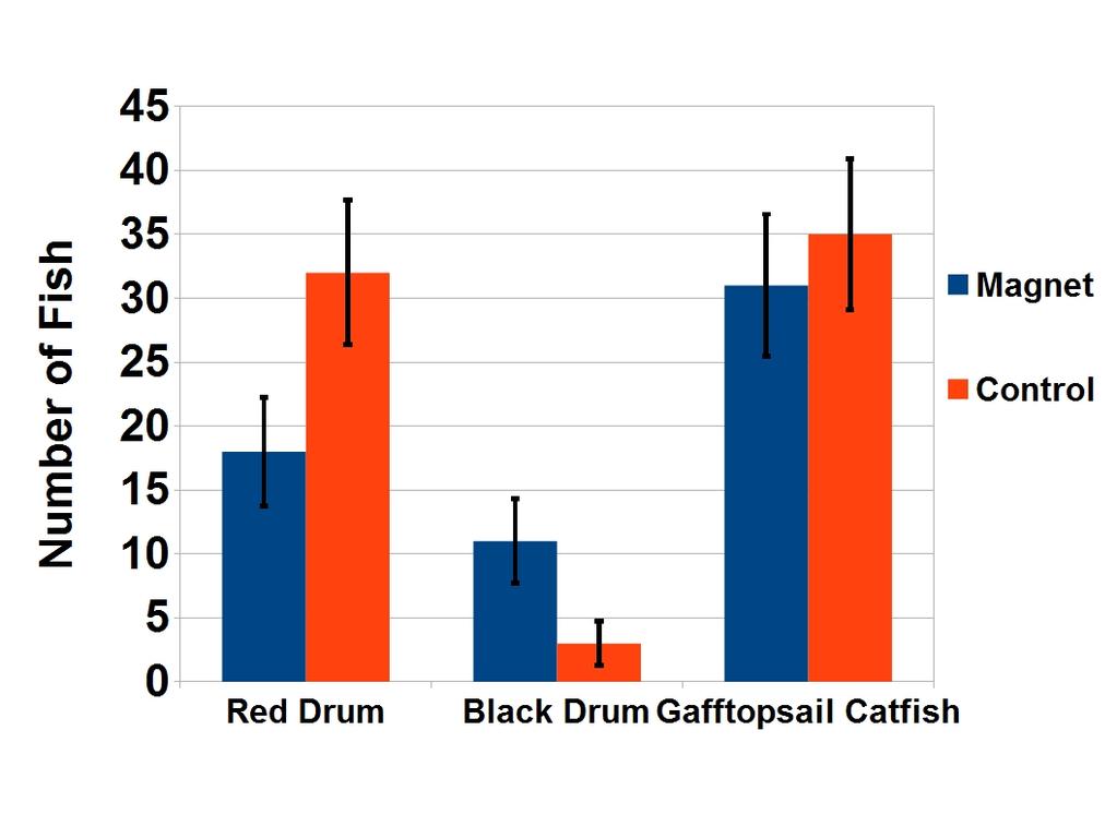 For gafftopsail catfish, 31 fish were caught on the control, and 35 fish were caught on the magnetic hook yielding a Χ 2 value of 0.24 and a P-value of 0.623.