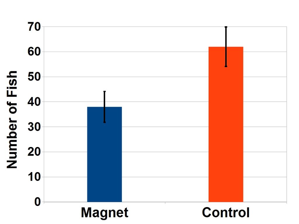 Figure 4. Sea catfish caught on magnetic hook and control. Table 1. Number of fish caught on each type of hook. Species Total Number (n) Control Magnet Χ 2 P Red Drum 50 32 18 3.92 0.