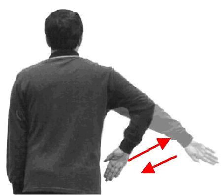 position shown, leaving the hand next to the body.