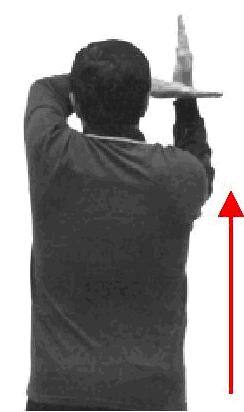 To make this signal, move the forearm (from the side of the attack) to the position shown (pointing in the direction of the attack, horizontal and at least as high as the eyes).
