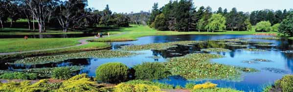 With the variety, scenery and appeal of our golf in Tasmania, this is the perfect destination for a golfing holiday.