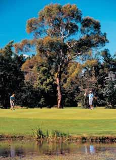 This leaflet has contact details for the island s clubs and public courses pop it in your golf bag then come and enjoy the variety and interest of Tasmania s spectacular and challenging golfing