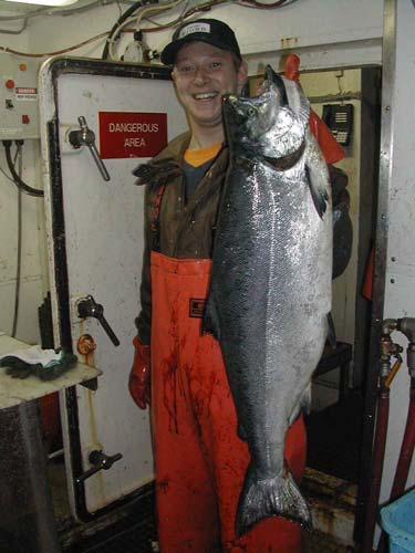 Chinook Salmon Bycatch in Gulf of Alaska