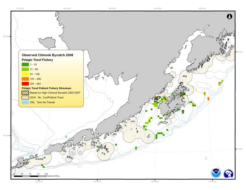 Figure 14 Chinook salmon strawman closures for pelagic trawl gear, based on high incidence of bycatch in 2003-2007, compared to areas with high bycatch incidence in 2001-2008 Figure 15 Chinook salmon