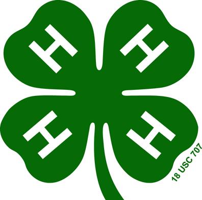 Saddle Up 4-H Club The Saddle-Up Club met on Thursday, July 13, 2017. the meeting was called to order by. Pledges were said and attendance was taken. There wee no new members.