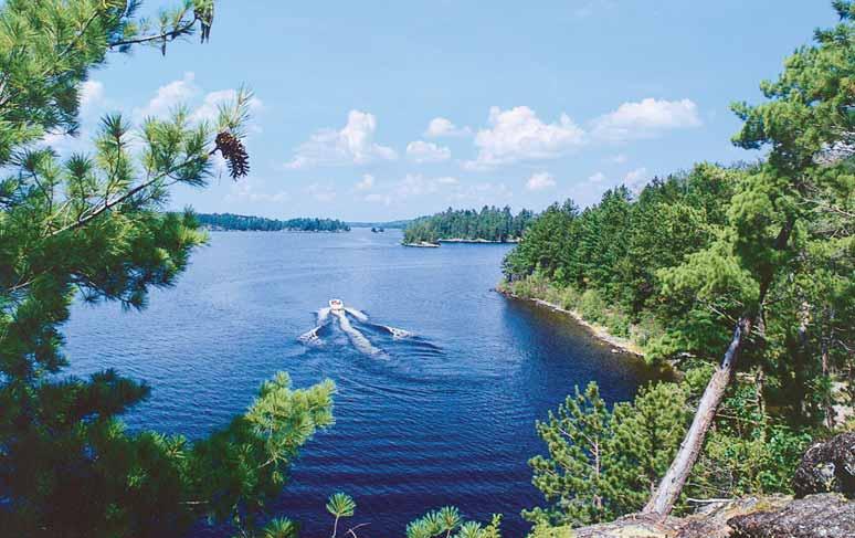 Birch Grove Resort On Lake Kabetogama In the Heart of Voyageurs National Park Nestled in a Protected Harbor Modern 2- and 3-bedroom well-spaced cabins on the
