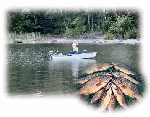 In Minnesota, the land of 10,000 lakes, Kabetogama is a wild, untapped treasure. Anglers who long for wide open spaces and good fishing will revel in the cool, clean waters and solitude of Kabetogama.