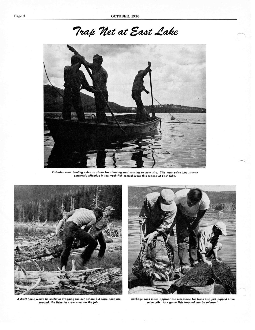 Page 4 OCTOBER, 1950 7to Zee as Eaa take Fisheries crew hauling seine to shore for cleaning and mev :ng to new site.