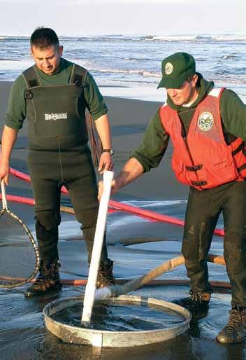 Counting Clams Managing the razor clam resource is a balancing act: provide people with ample harvesting opportunities without jeopardizing clam populations.