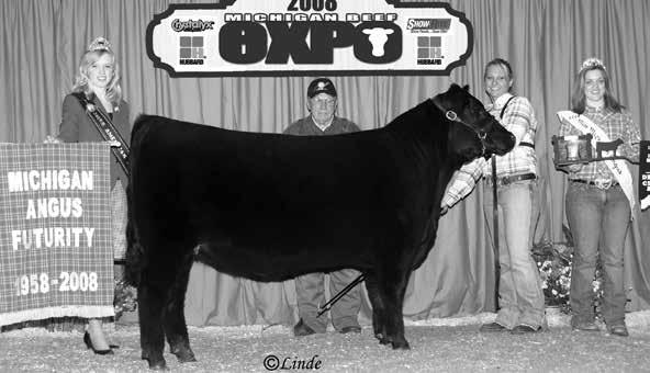 120 Precision Pride 1504 Cow Reg.