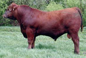 2 34 54 13 30 10 Selling one-half interest. Buyer has the right to double down and own 100% of the cow. If this option is chosen, OHR will retaining one flush in her.