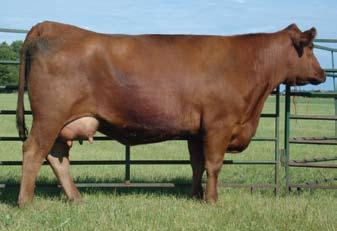 A topselling bull sold in the Red Power sale for $2,900 to Dennis Docktor of North Dakota, and the top-selling Red Power female in 2005 to Lost Meadows Red Angus in Minnesota for $3,750.