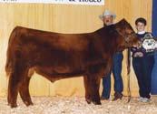 F Reference Sire F OHRR 107J Landslide 113R july 6, 2005 1130253 RBJR Advance A709 Perks Advance 121R Perks Miss Rambo 8105 PIE Avalanche 381 921776 PIE Ms Grand C 036 Lchmn Grandcanyon