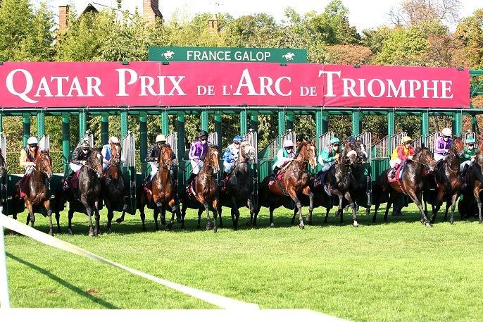 France, a nation of horse lovers The racing sector 242 racecourses : 50% of all tracks in Europe More than 15,000 races (trotting, flat and jumps) 2014 prize money : 190 million for flat and Jump