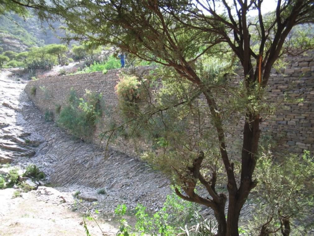 1/8 EXECUTIVE SUMMARY OF THE FINAL REPORT External Project Evaluation Soil and Water Conservation in the Irob Woreda - Tigray, Northern Ethiopia Conduced by