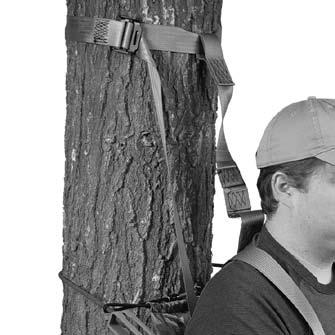 Following the specific treestand instructions included with your stand, climb up the tree until you reach the location of your safety strap. Step 3.