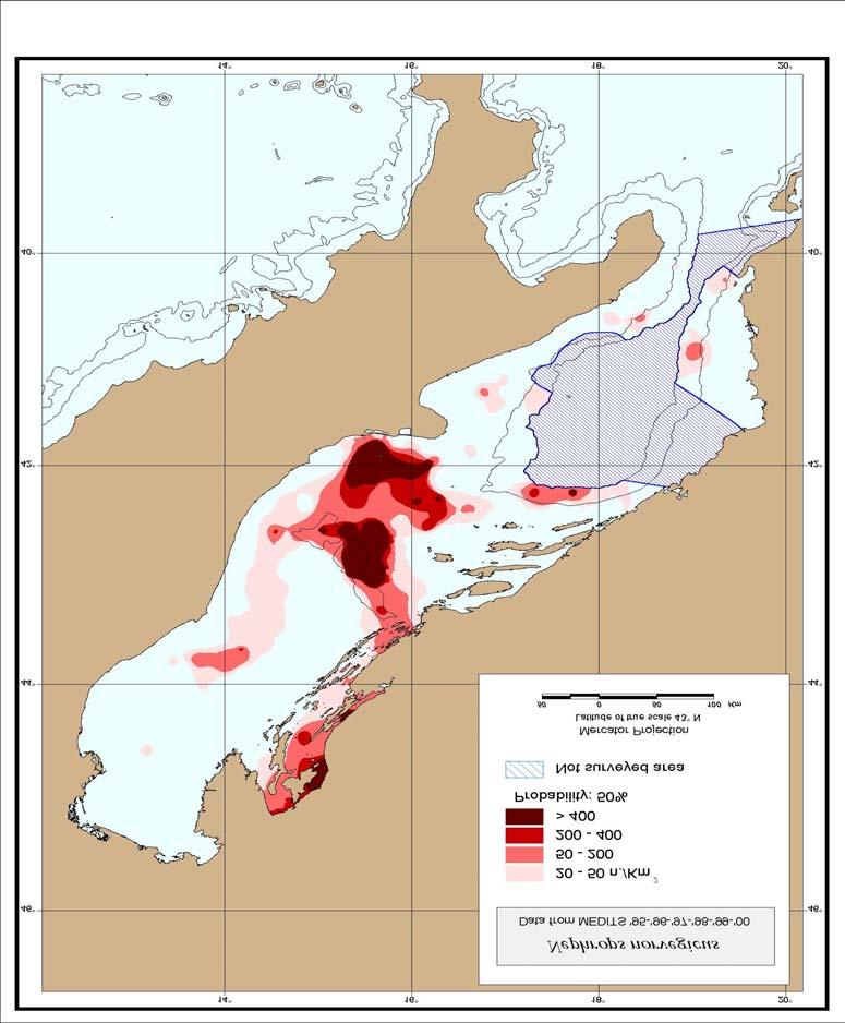 Figures 3b. Distribution of N. norvegicus in the Adriatic Sea: indicator kriging representation (Gramolini et al., in press). Data: Medits Programme.