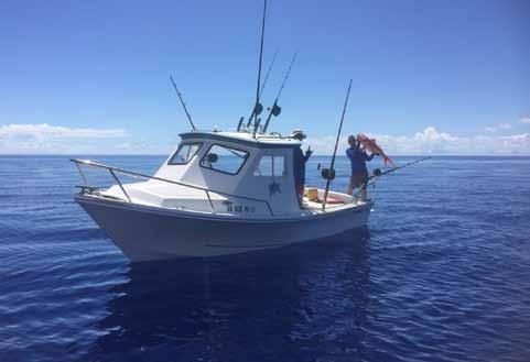 their catch because they fish mainly for recreational or subsistence purposes. Participation in the Guam bottomfish fishery peaked in the early 2000s, with nearly 500 vessels participating.