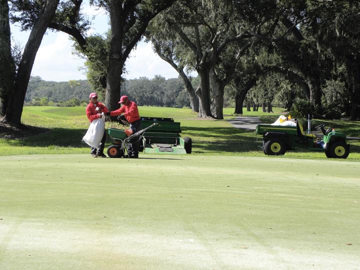 overseeding cover and reestablishing a dense, healthy bermudagrass turf cover and appropriate conditioning.