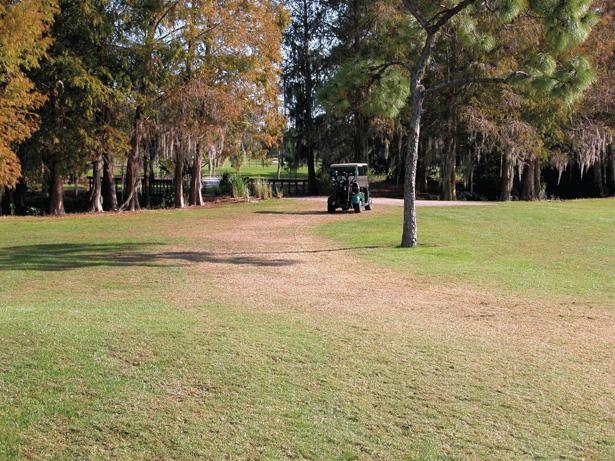 Aggressive cart management, while never popular, is absolutely essential for survival during the winter, when bermudagrass is not growing.