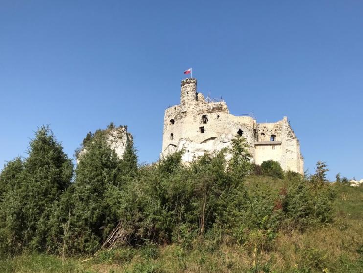 Two castles from XIV century will accompany us throughout this run with the history in the background.