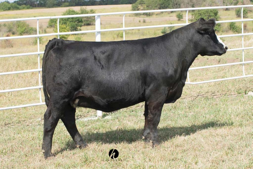Lot 200-410 200 410 3D Son Angus/Maine AI d on 3/28/15 to W/C No Remorse 736Y ASA 2614801 202 485 DaBomb 3D Son AI d on 3/29/15 to GCC Gold Standard AAA 17001727 201 We only felt that it was fitting