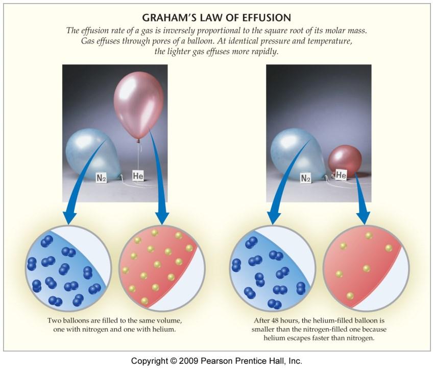 Two consequences of the dependence of molecular speeds on mass are: Effusion is the escape of gas molecules through a tiny hole into an evacuated space.