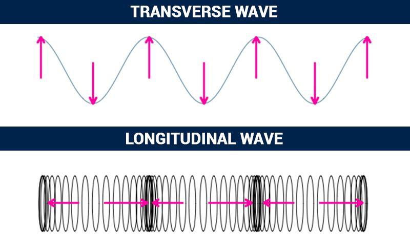 Some waves we will be discussing include: Transverse Waves