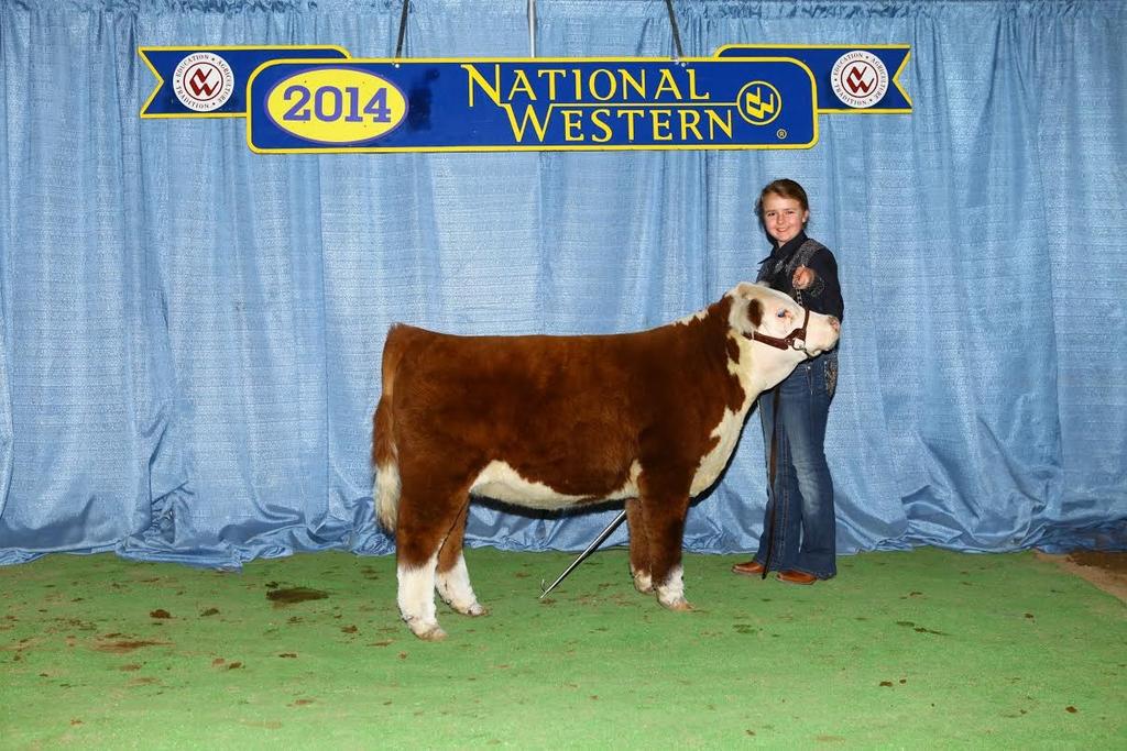 more than a dozen Grand Championships. Her dam is one of our smallest cows and is the spitting female image of her full brother, WW Tom Thumb, who was Grand Champion, at the NILE in Billings, MT.
