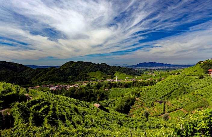 The lovely route will lead you through several wine villages, one of which will be your host when you are invited to a tasting of the world-famous sparkling wine (included).