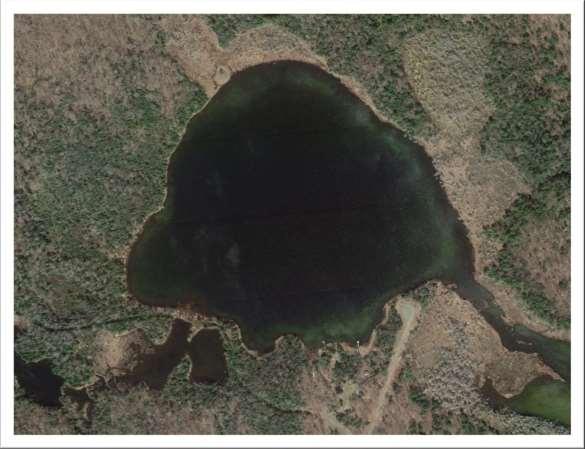 Edith Lake (WBIC 706000) Located in the north-central Florence County Edith Lake is a 42 acre drainage lake.